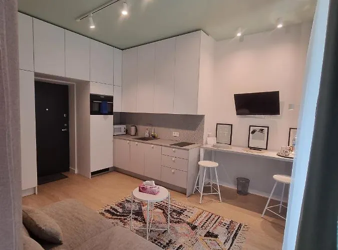 Old Town Renaissance 维尔纽斯