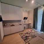 Old Town Renaissance Apartment